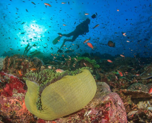 Western-Australia-Travel-Tips-For-Travel-Agency-Nurses