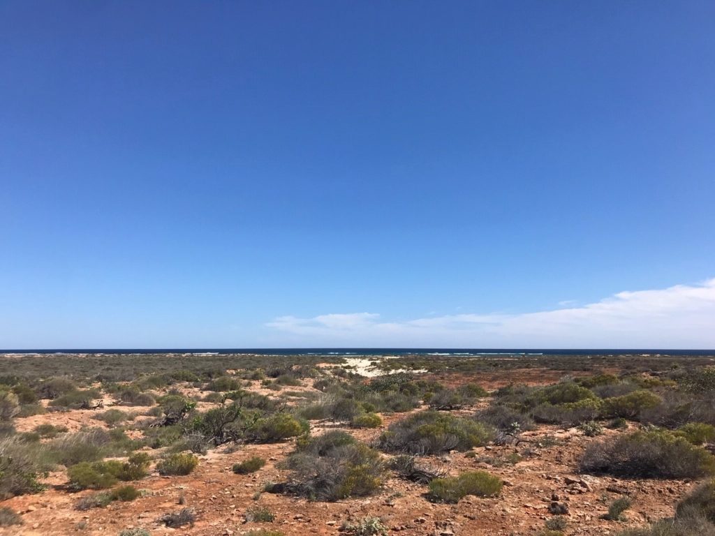 Ningaloo - View on Mandu Mandu Gorge