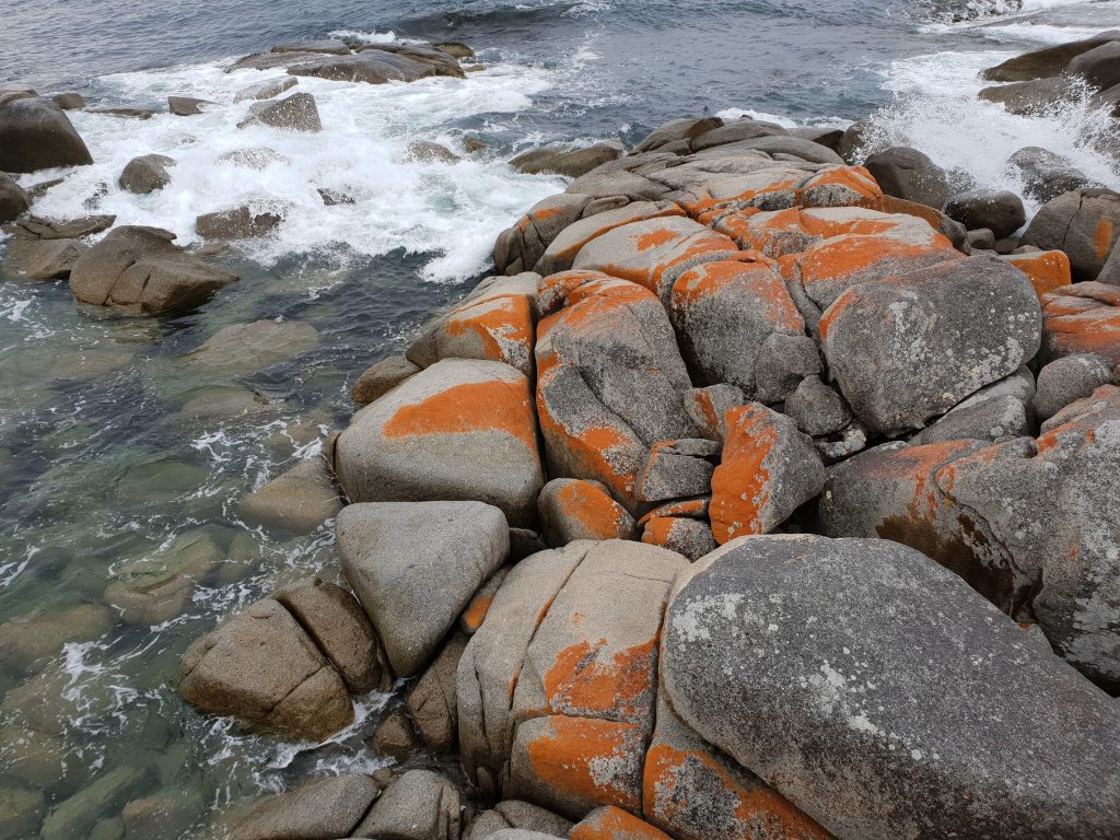Tassie Bucket List - Bay of Fires - RN Jennie Affinity Nursing