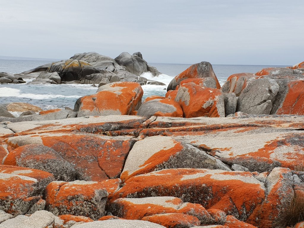 Tassie Bucket List Bay of Fires - RN Jennie Affinity Nursing