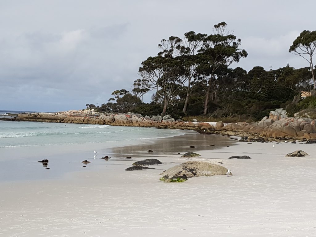 Tassie Bucket List - Bay of Fires - RN Jennie Affinity Nursing