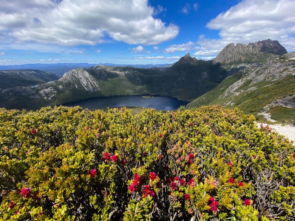 Cradle Mountain - Tassie Bucket List - RN Stephanie Affinity Nursing