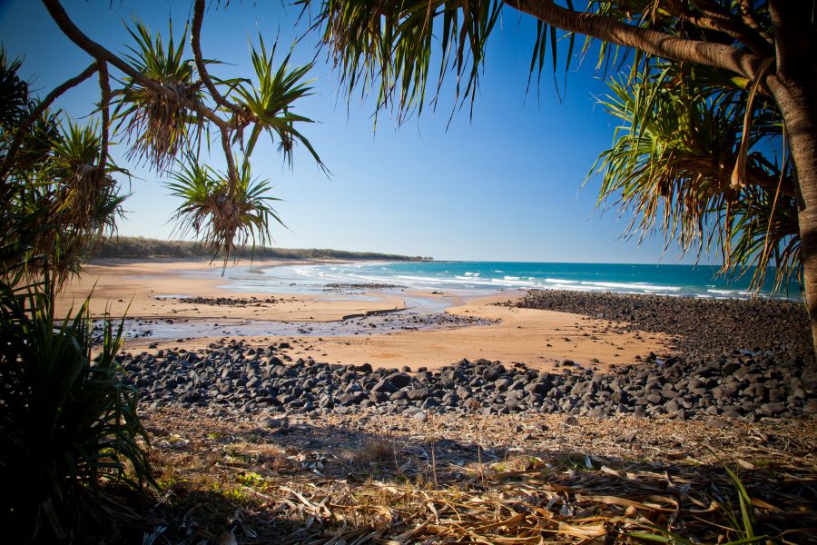 2020 year of the hot nurse - Bundaberg
