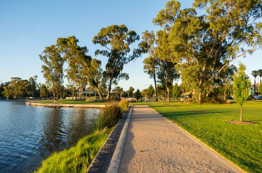 2020 year of the hot nurse - Shepparton