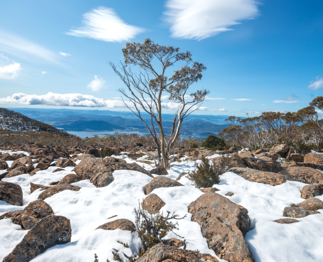 Winter-Tasmania-agency-nursing
