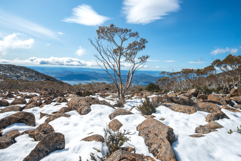 Things to do in Tasmania in winter