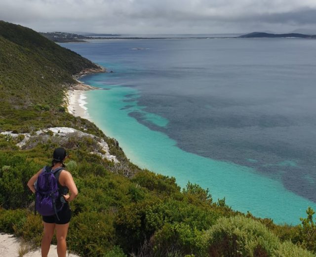 Is your agency right for you - Sarah K - Albany WA