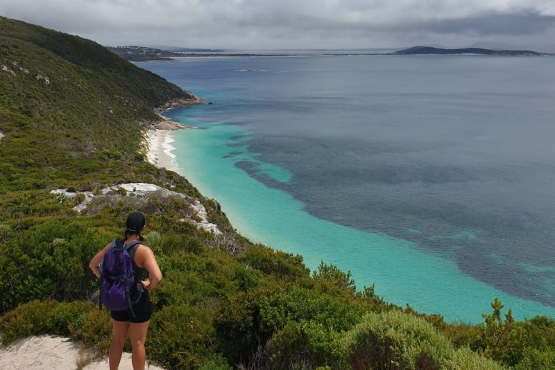 How to determine if your agency is the best fit for you!