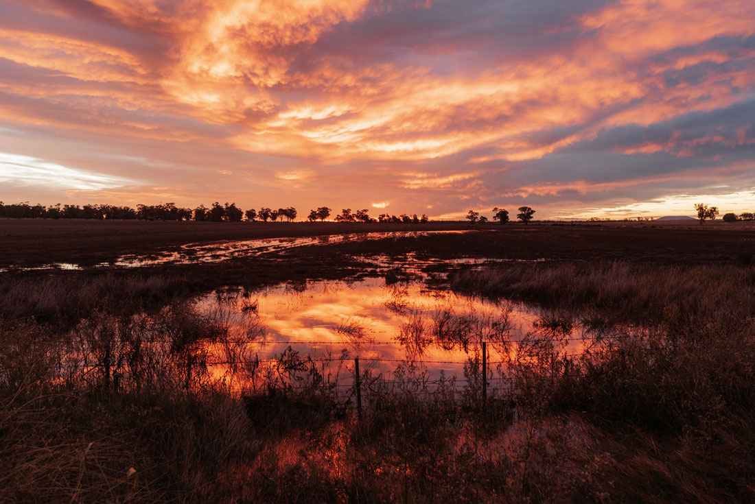 Rahel_Gunnedah_NSW