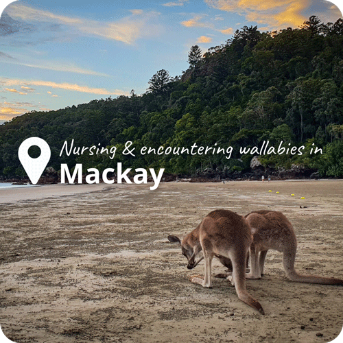 Travel_nursing_Mackay_QLD_JC