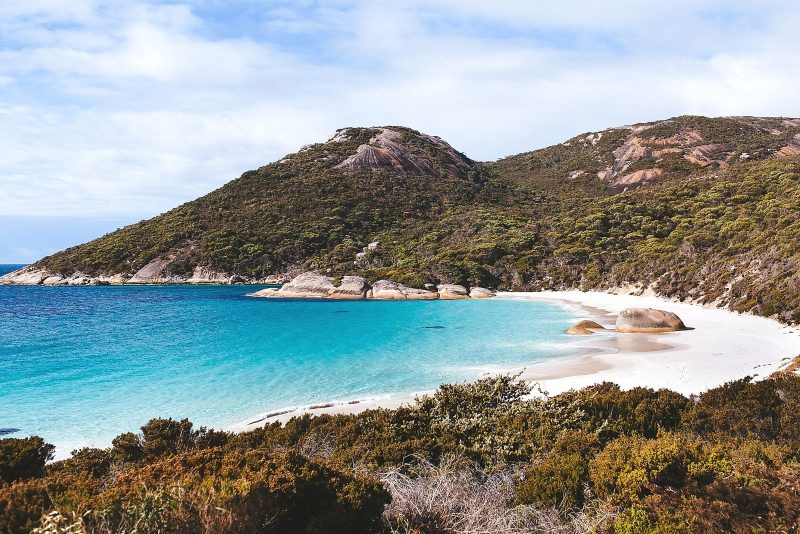 Eat like a Local – Albany