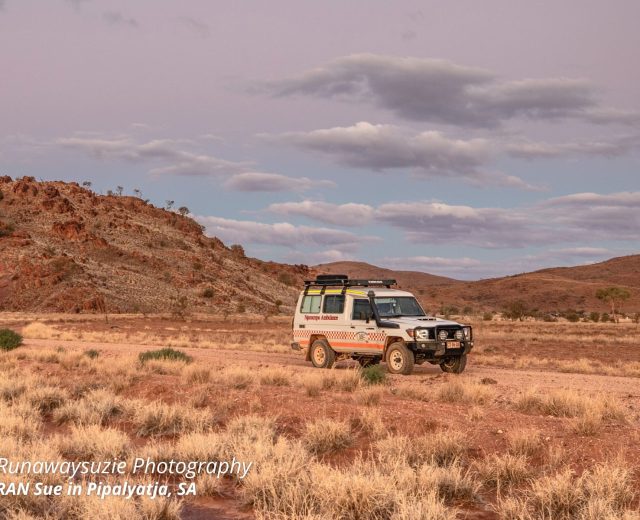 Blog - Agency-rural-remote-nursing-nt