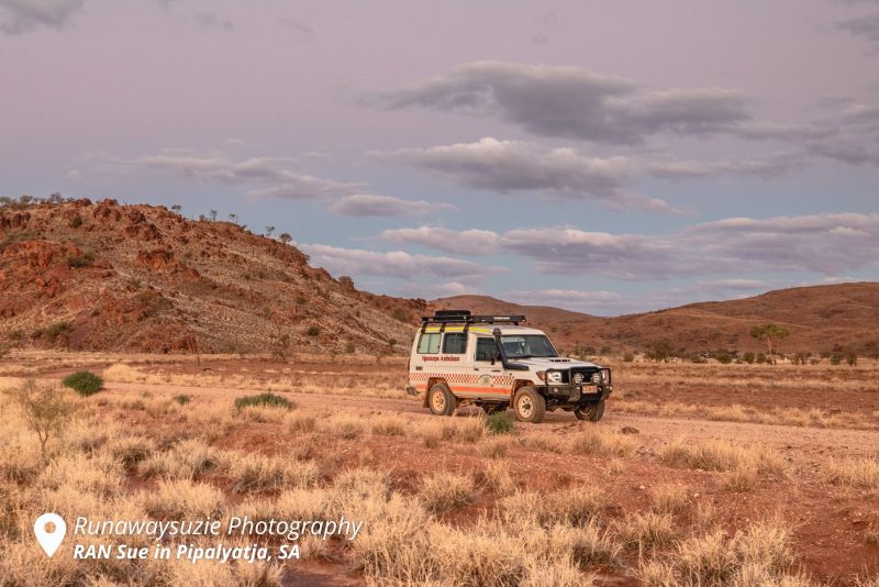 Why have metro nurses gone rural?