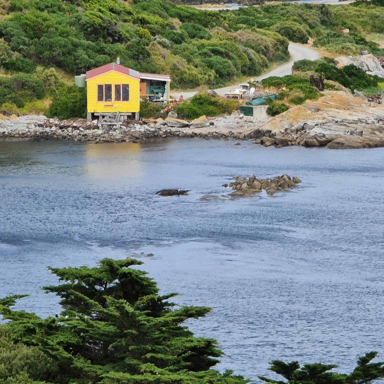 Is Channel Island University The Perfect Nursing School For You? - 3h54kbp