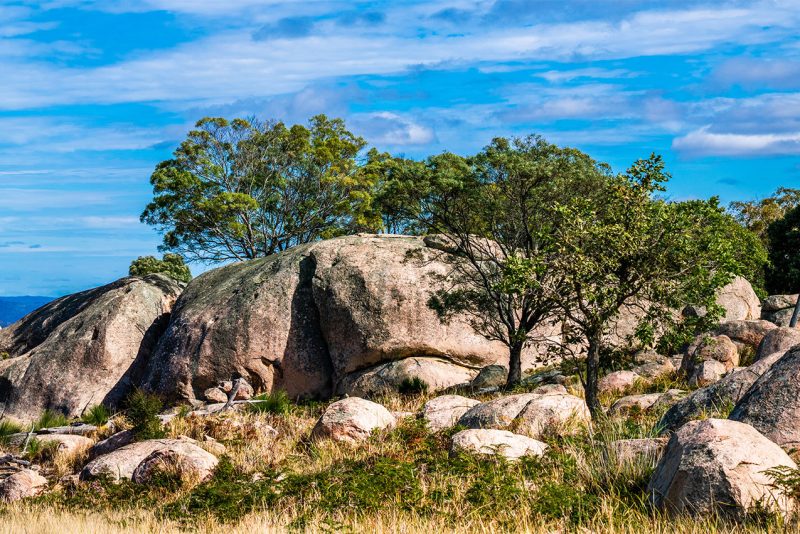 Meet RAN/RN Margaret: Affinity Autonomy as a remote area nurse