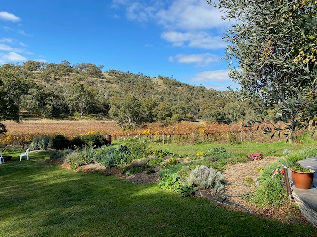 Skilogalee Vineyards, South Australia