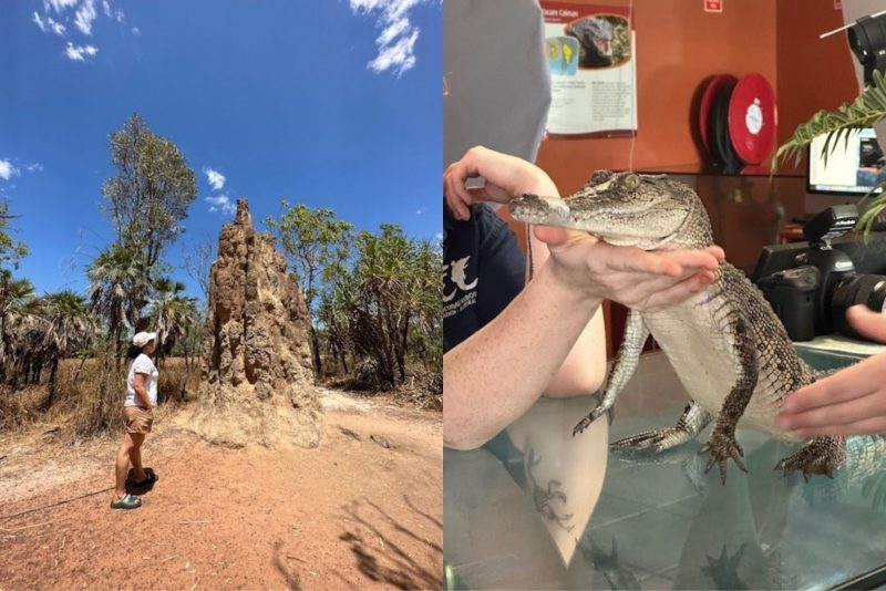 Meet RN Michelle – Having a croc at it in the Northern Territory